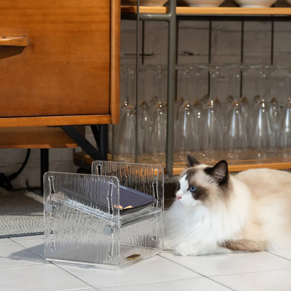 Fito - Adjustable Cat Bowl Set - Image 13