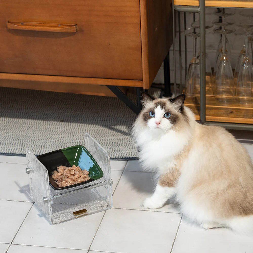 Fito - Adjustable Cat Bowl Set - Image 15