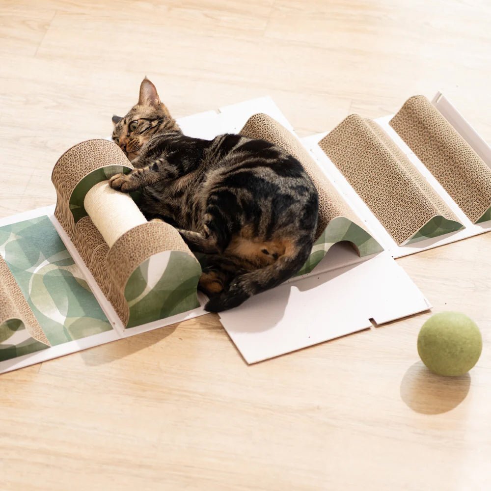 Mystery Box Cat Scratch Box - Image 12