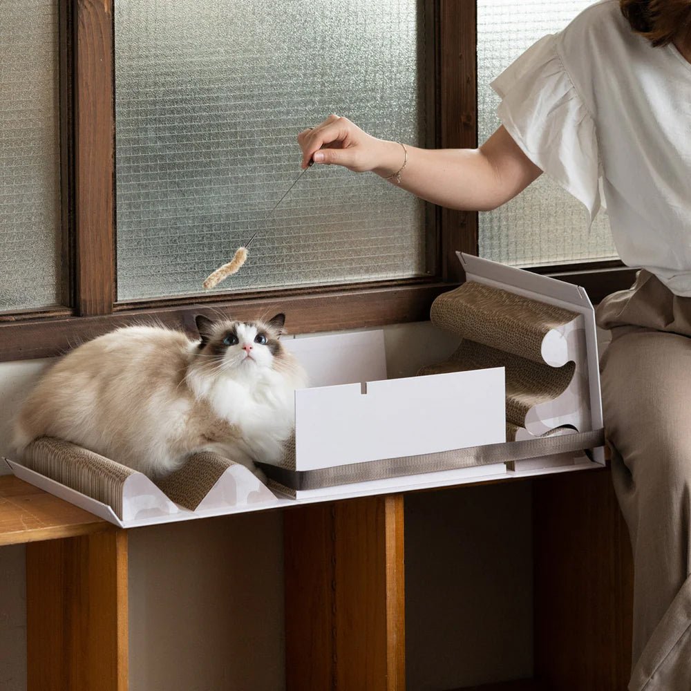 Mystery Box Cat Scratch Box - Image 13