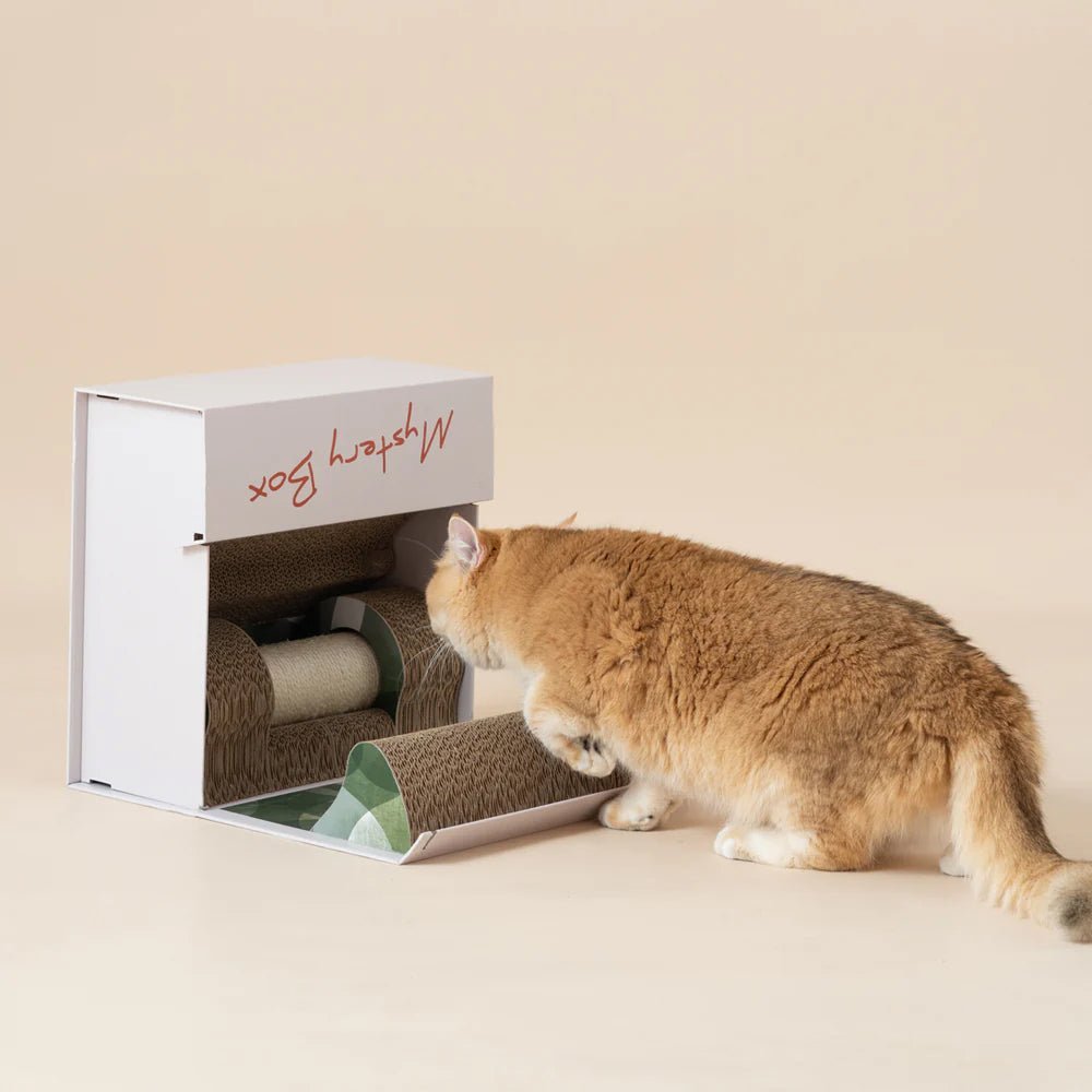 Mystery Box Cat Scratch Box - Image 14