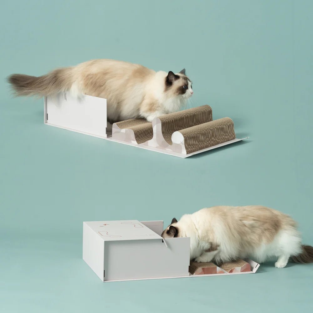 Mystery Box Cat Scratch Box - Image 15