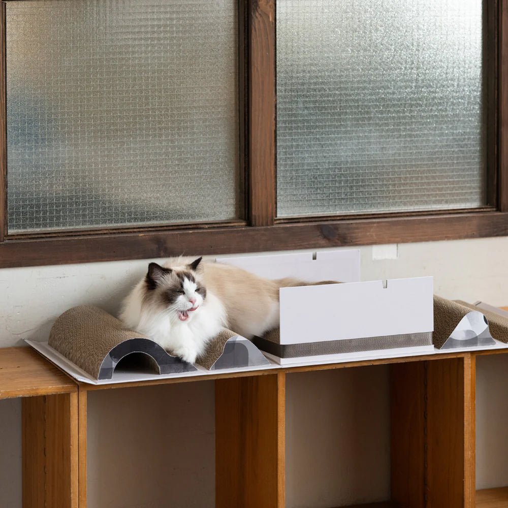 Mystery Box Cat Scratch Box - Image 16