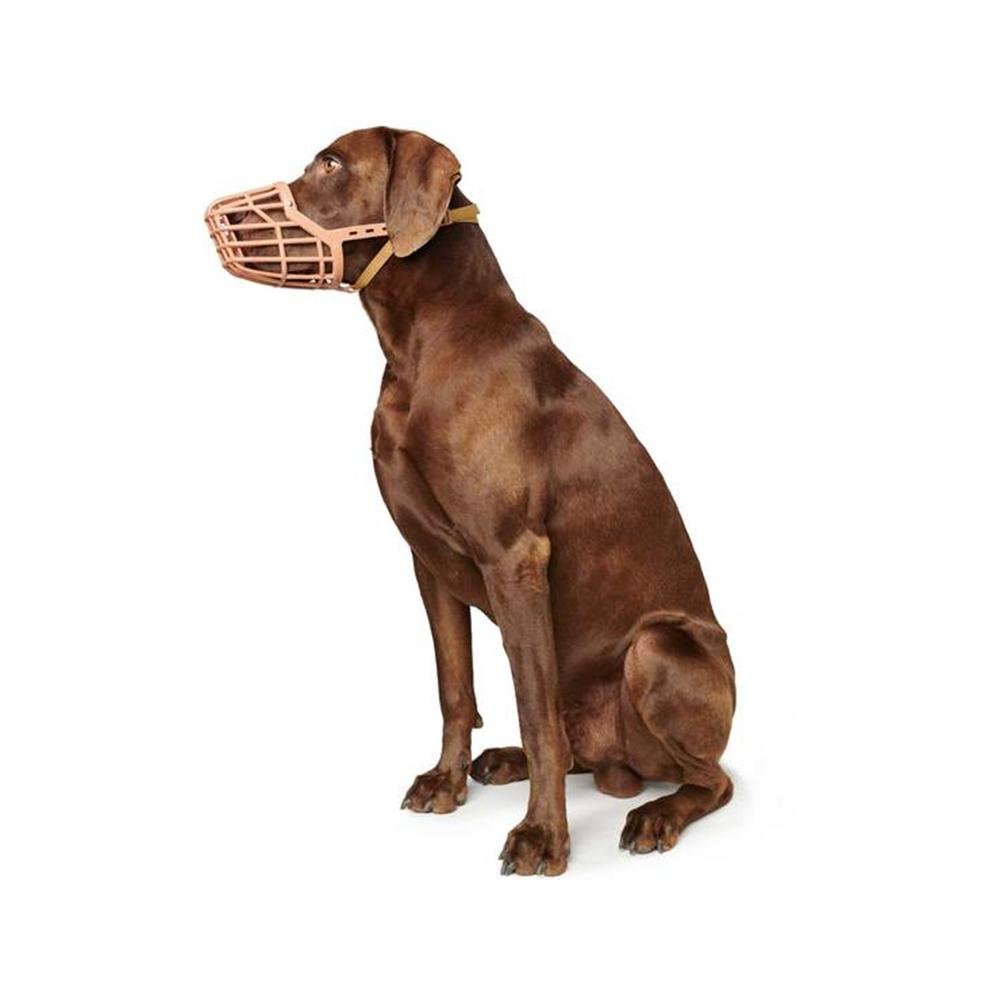 Plastic & Nylon Muzzle - Image 9