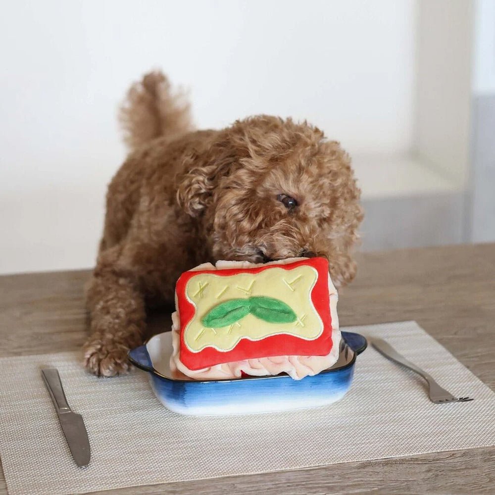 Lasagna Nosework Plush Toy - Image 6