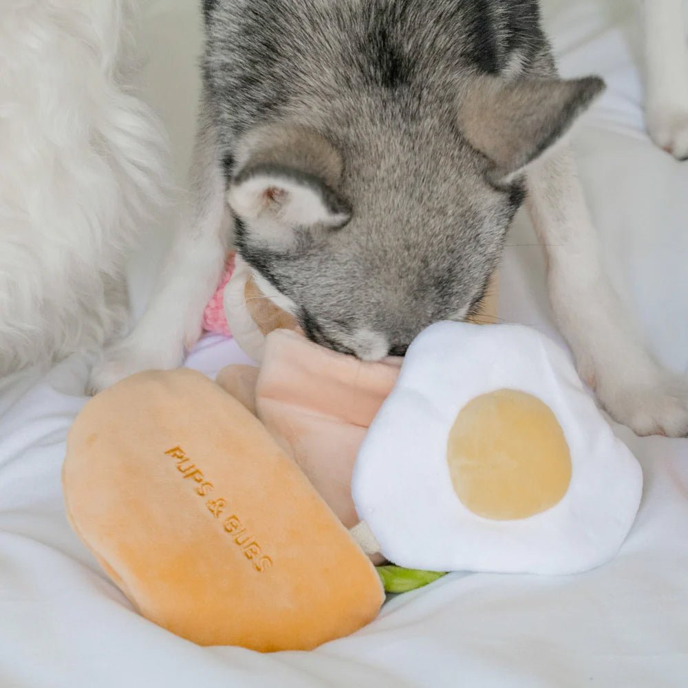 Pita Pocket Nosework Dog Plush Toy - Image 3