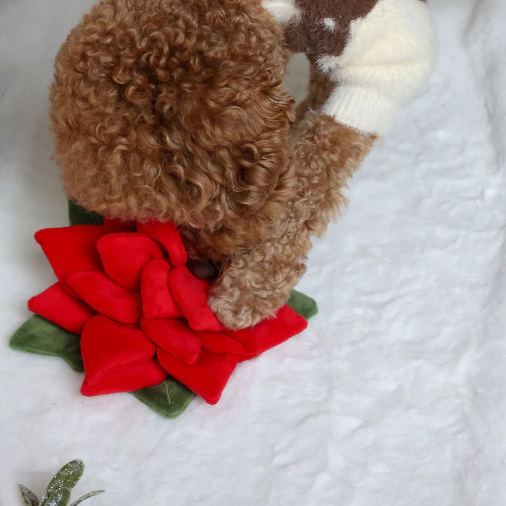 Snuffle Poinsettia Nosework Dog Plush Toy - Image 3