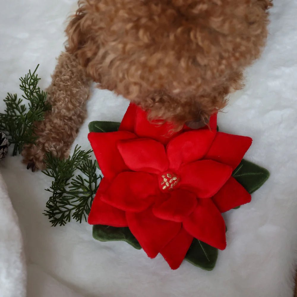Snuffle Poinsettia Nosework Dog Plush Toy - Image 5