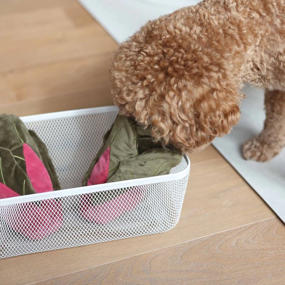 Snuffle Swiss Chard Plush Toy - Image 6