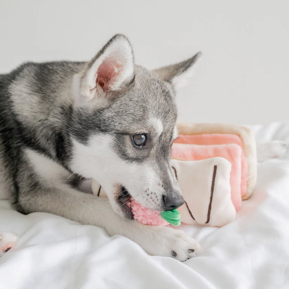 Strawberry Mille-Feuille Nosework Dog Plush Toy - Image 4