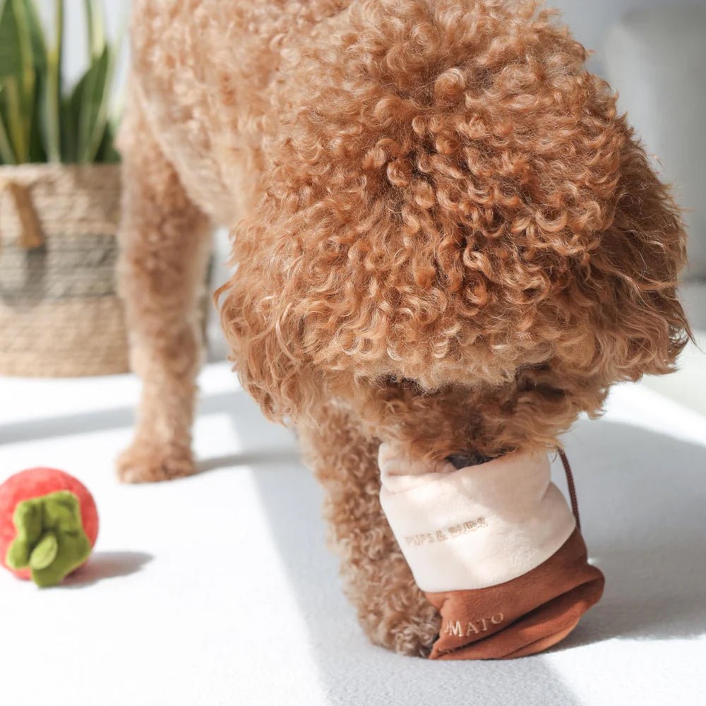 Tomato Soup Nosework Dog Plush Toy - Image 6