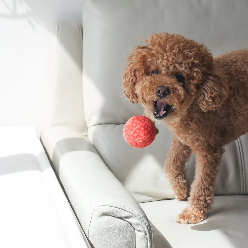 Tomato Soup Nosework Dog Plush Toy - Image 8