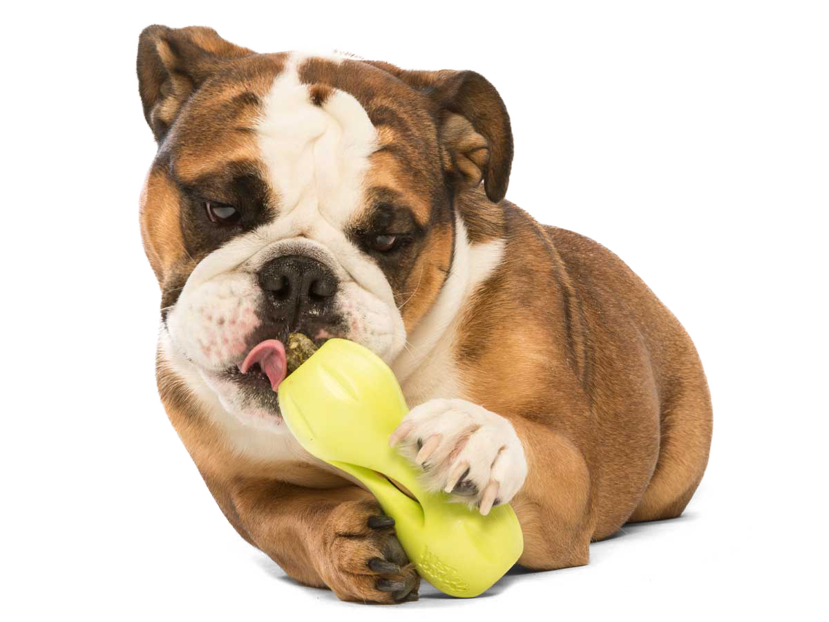 Qwizl Dog Treat Toy - Image 16