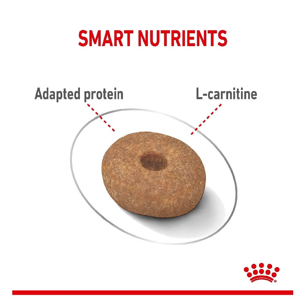CCN Mini Light Weight Care Dog Dry Food - Image 2