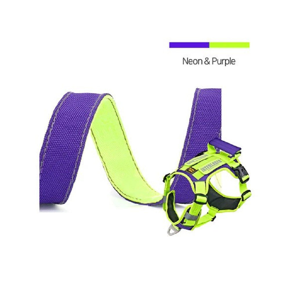 Interlaken Slim 2.0 Dog Leash - Image 7