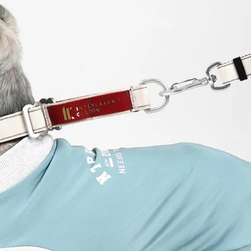 Interlaken Slim 2.0 Dog Leash - Image 8
