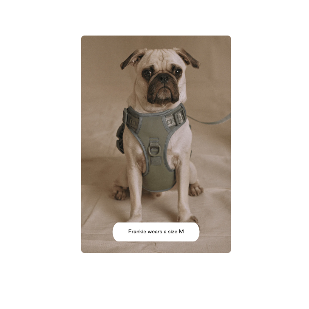 Easy Fit Harness - Image 9