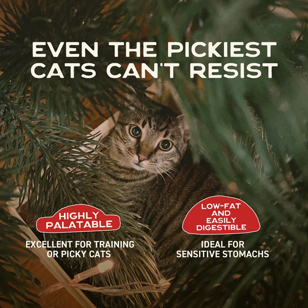 Holiday Rabbit Cat Jerky Treats - Image 4