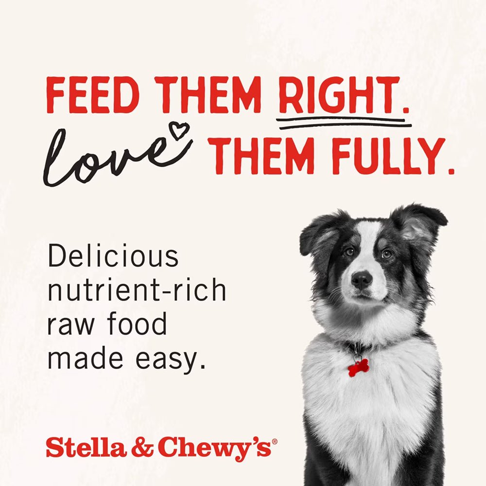 Puppy Freeze Dried Cage Free Chicken Raw Coated Dog Dry Food - Image 5