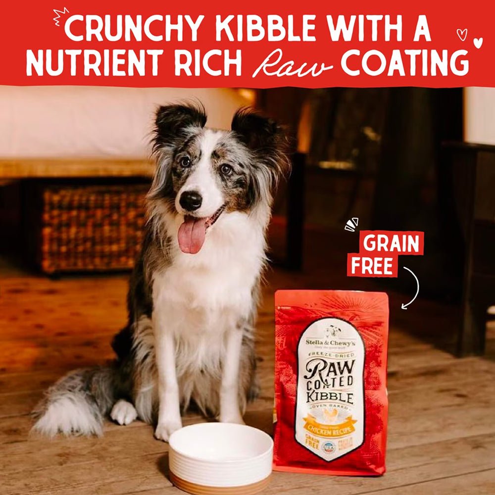 Puppy Freeze Dried Cage Free Chicken Raw Coated Dog Dry Food - Image 8