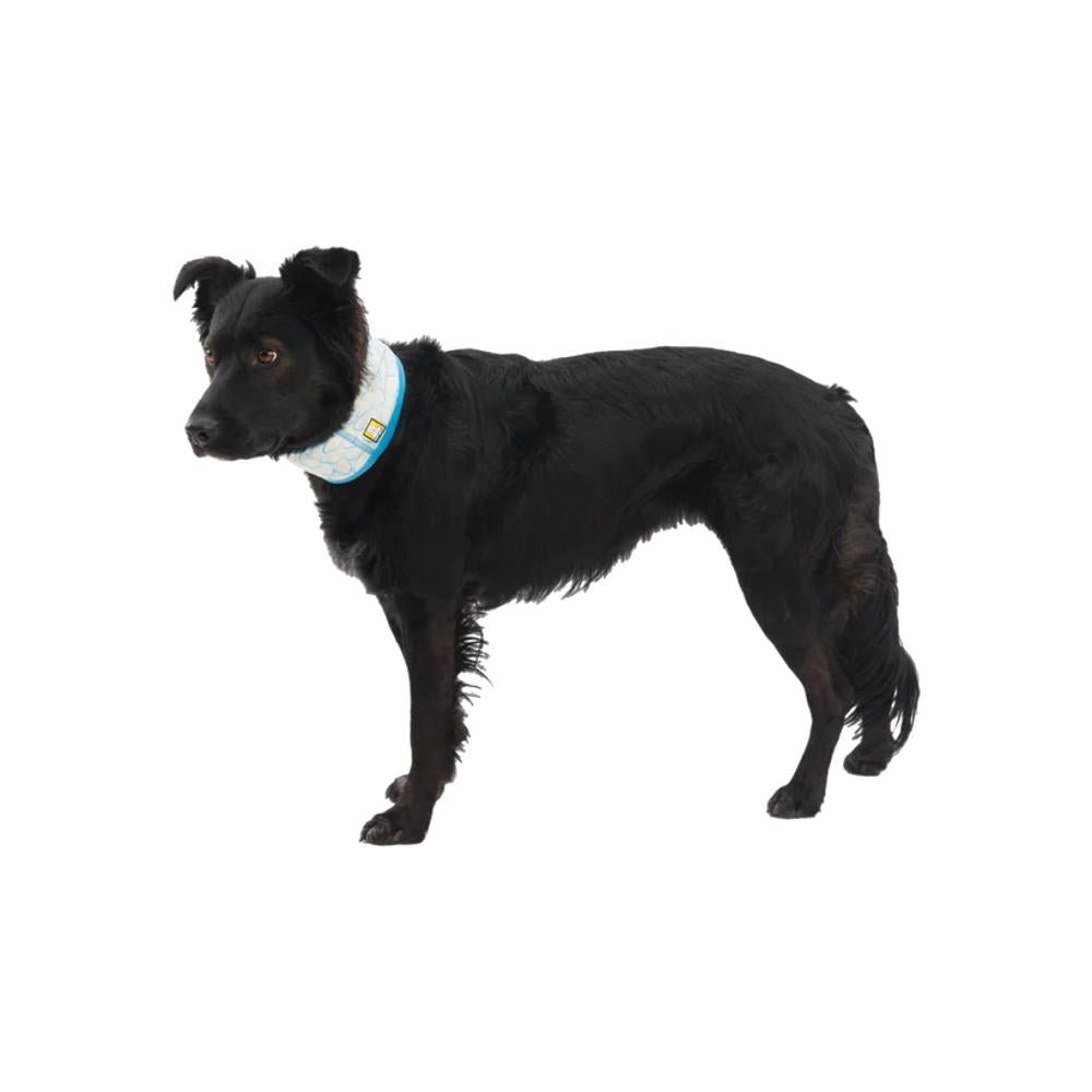 Ruffwear - Swamp Dog Cooling Neck Gaiter - Image 14