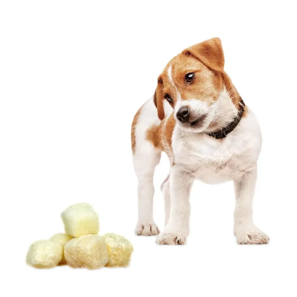 Cheese Crunchies Dog Treat - Image 3