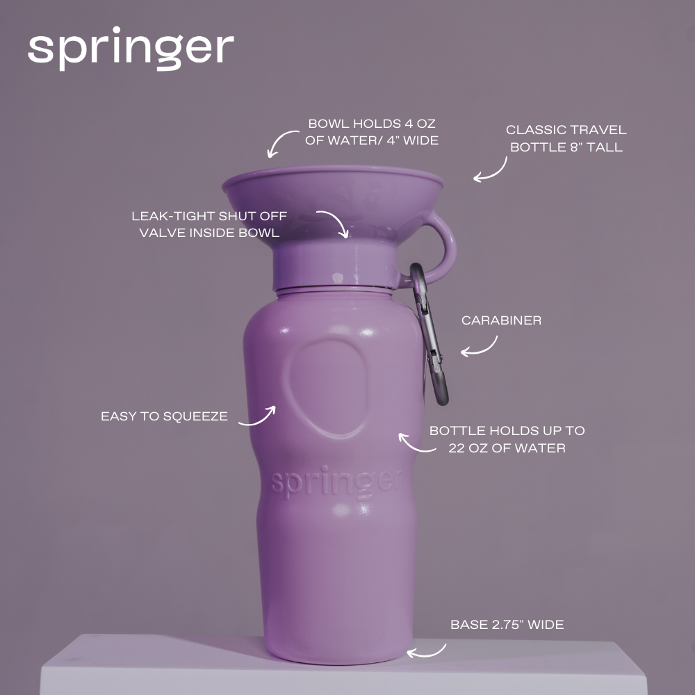 Classic Dog Travel Water Bottle - Image 19