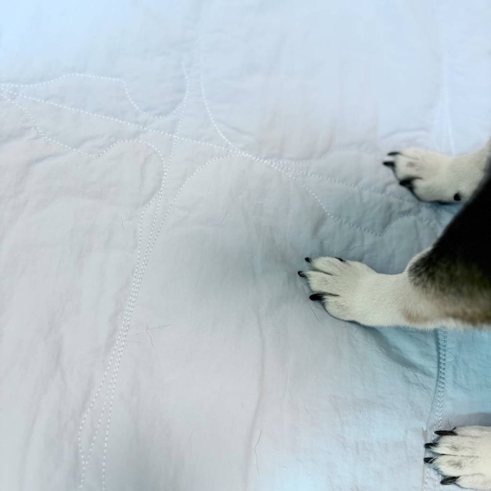 Teddy Heaven Traval Mat for Dogs & Cats - Image 9