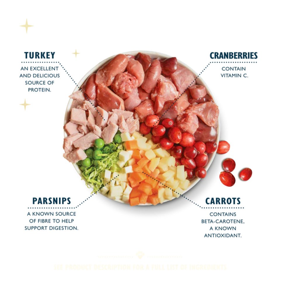 Turkey Christmas Dinner Dog Wet Food - Image 3