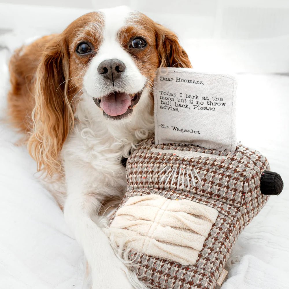 Typewrtier Snuffle & Squeaky Dog Toy - Image 5