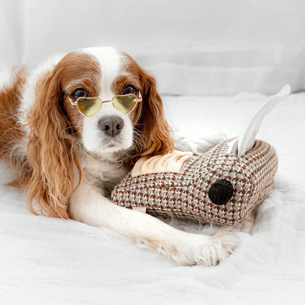 Typewrtier Snuffle & Squeaky Dog Toy - Image 8