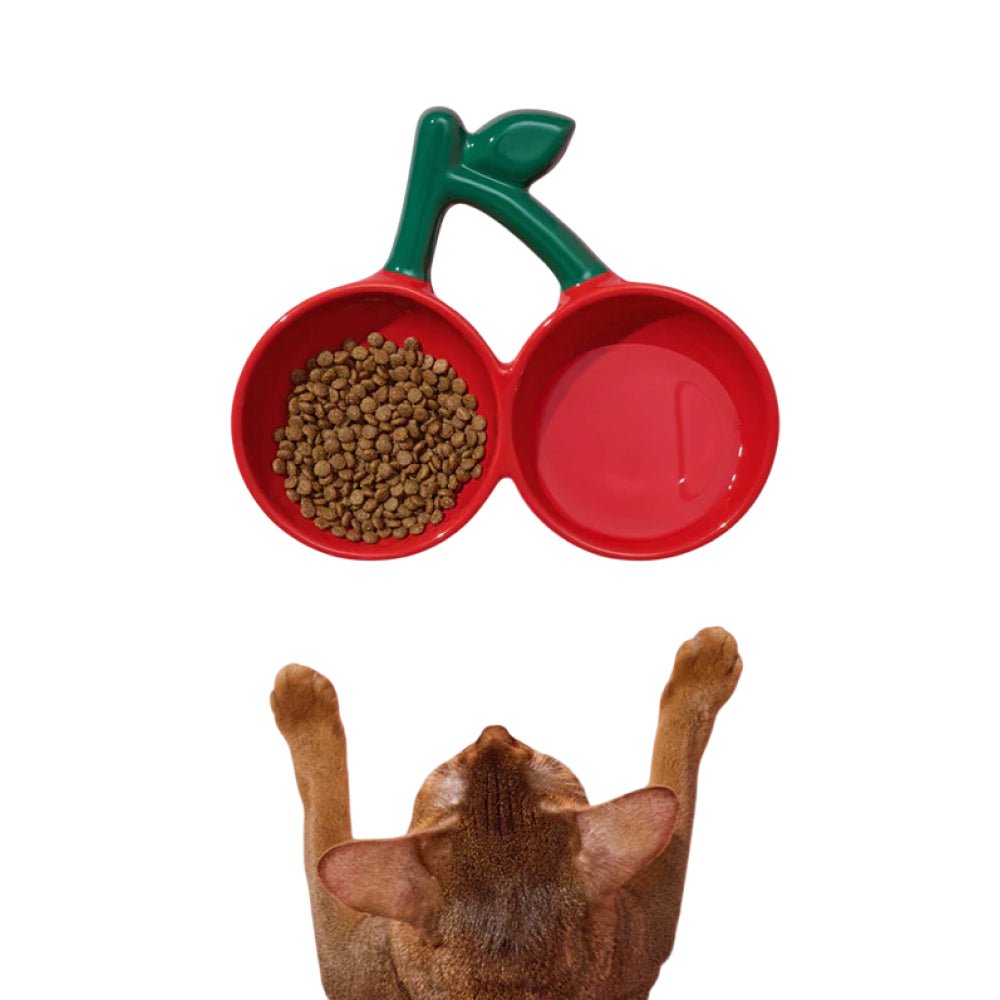 Cherry Ceramic Pet Bowl - Image 3