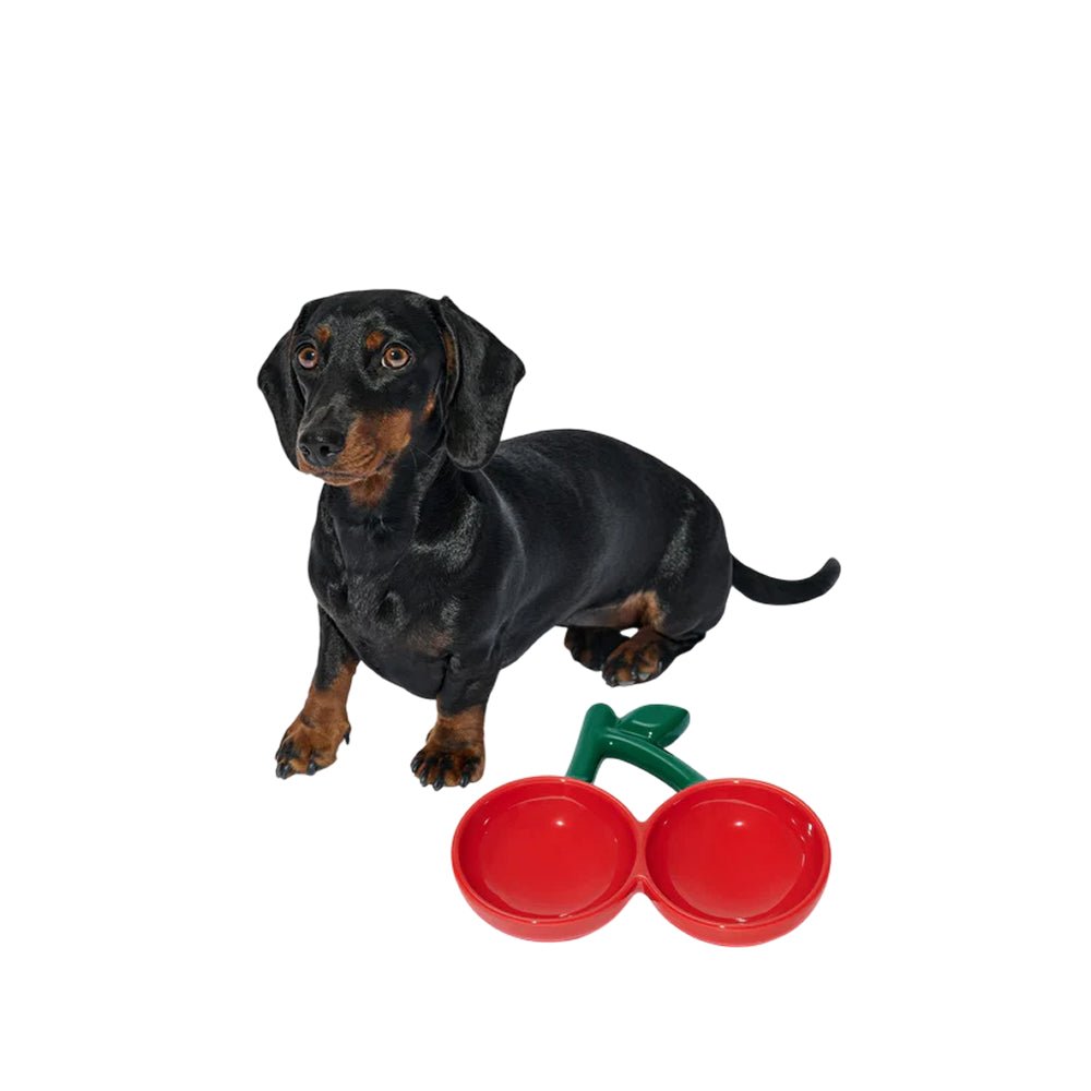 Cherry Ceramic Pet Bowl - Image 4
