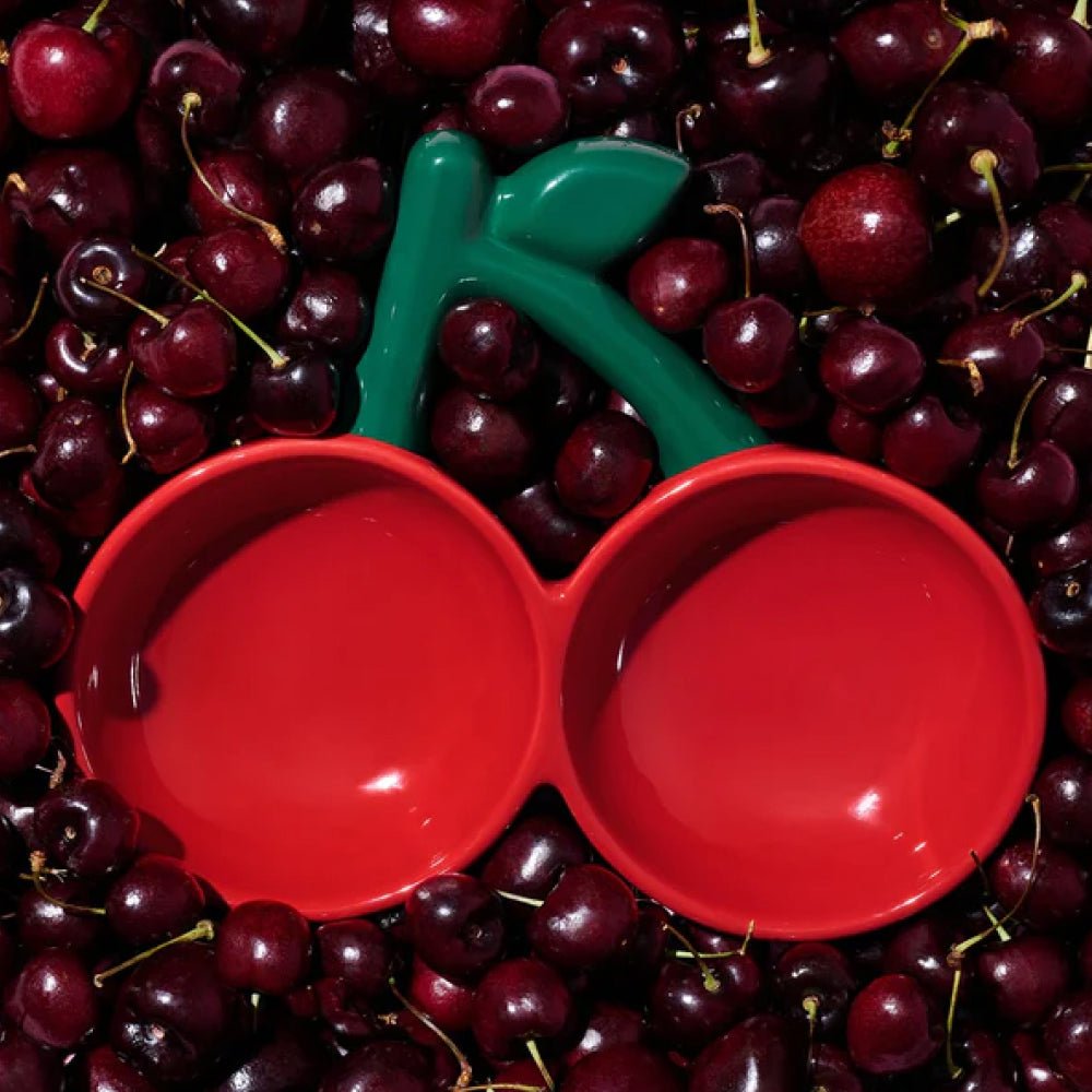 Cherry Ceramic Pet Bowl - Image 6