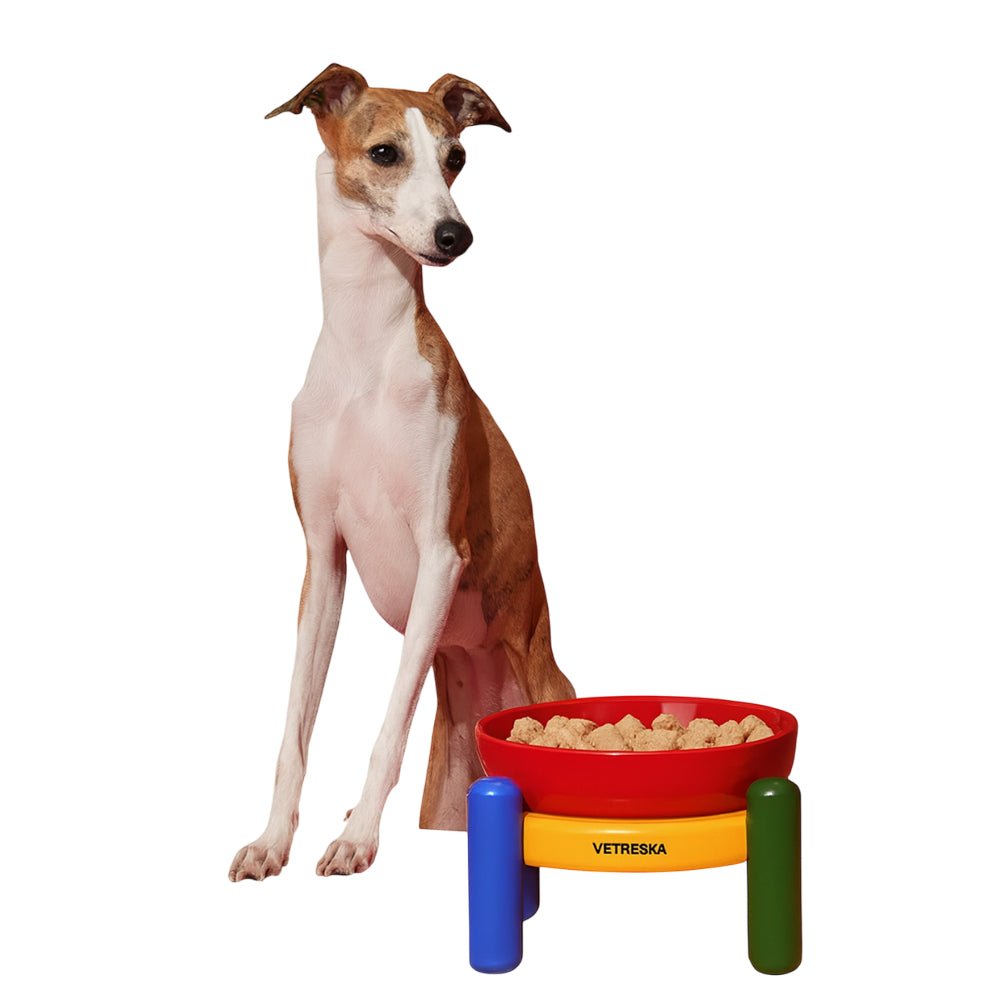 Chroma Ceramic Pet Bowl Set - Image 4