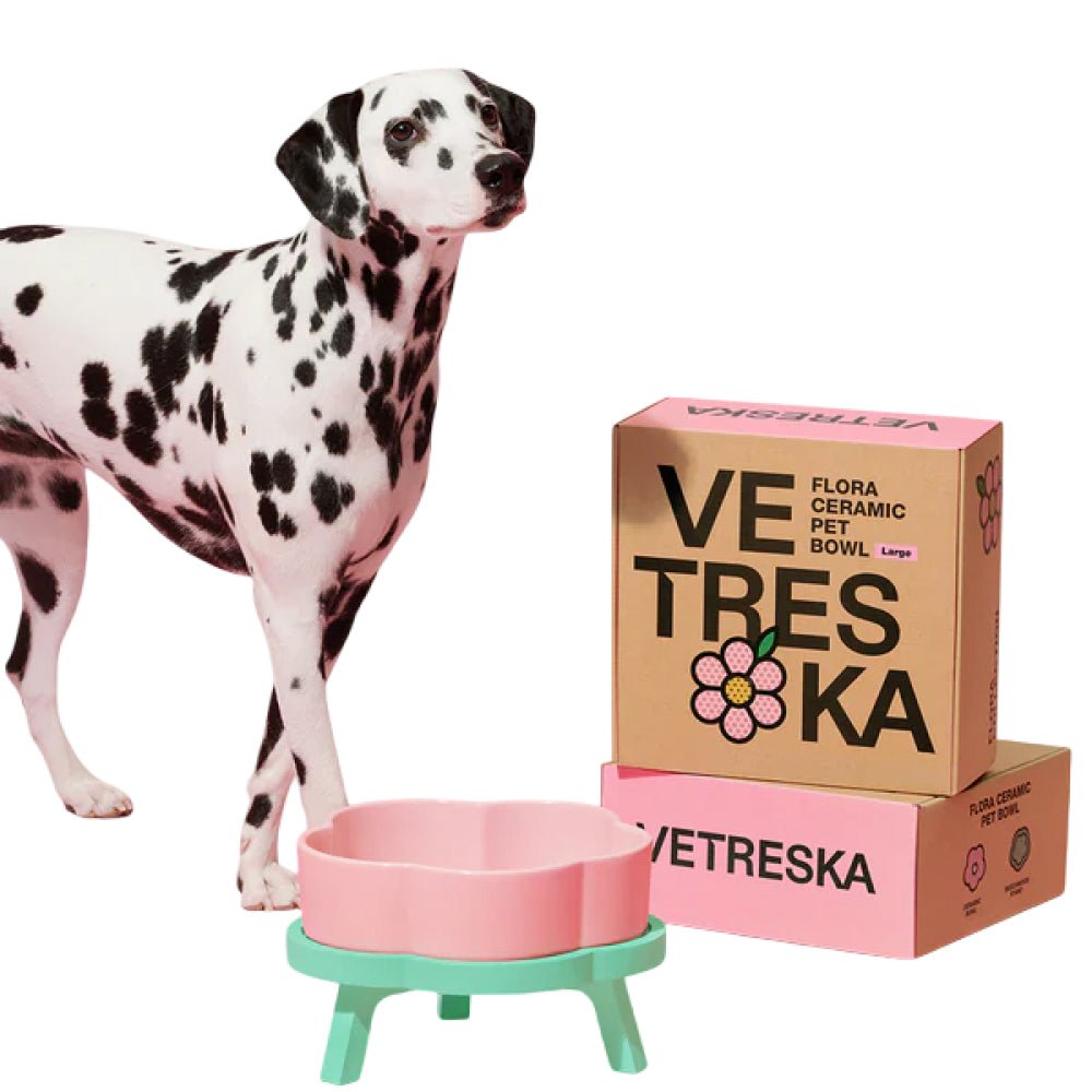 Flora Ceramic Pet Bowl - Image 8