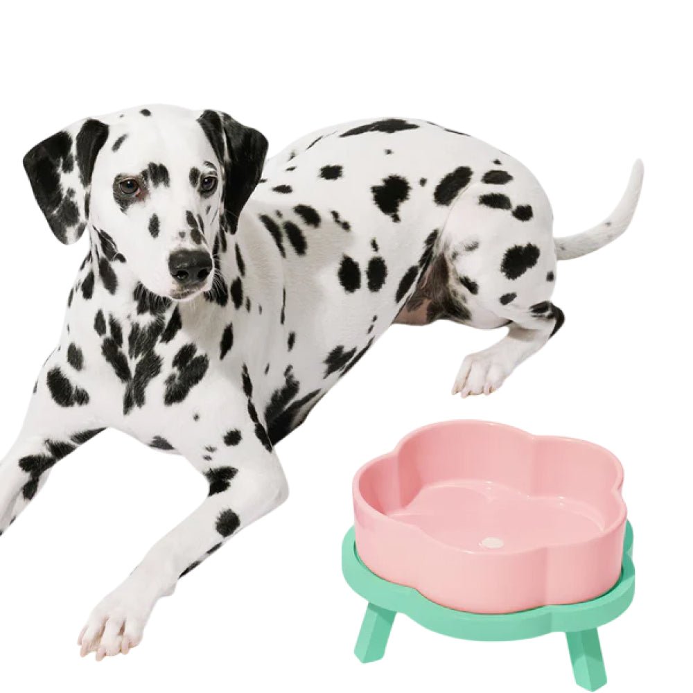 Flora Ceramic Pet Bowl - Image 10