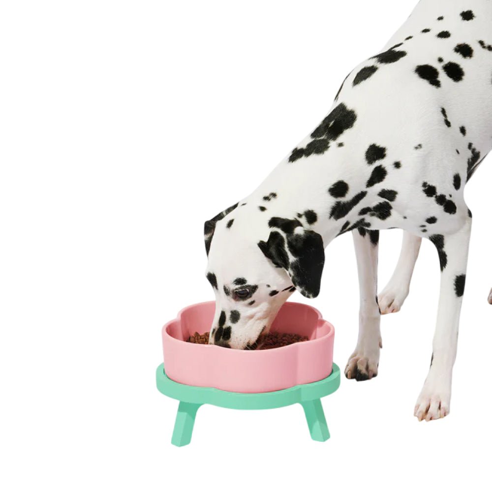 Flora Ceramic Pet Bowl - Image 11