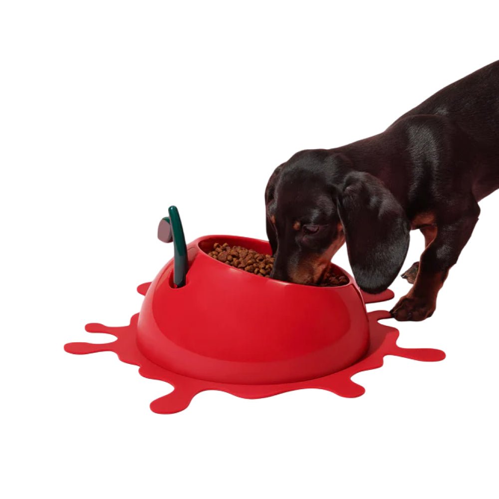 Juicy Cherry Pet Bowl , Spoon & Mat Set - Image 6