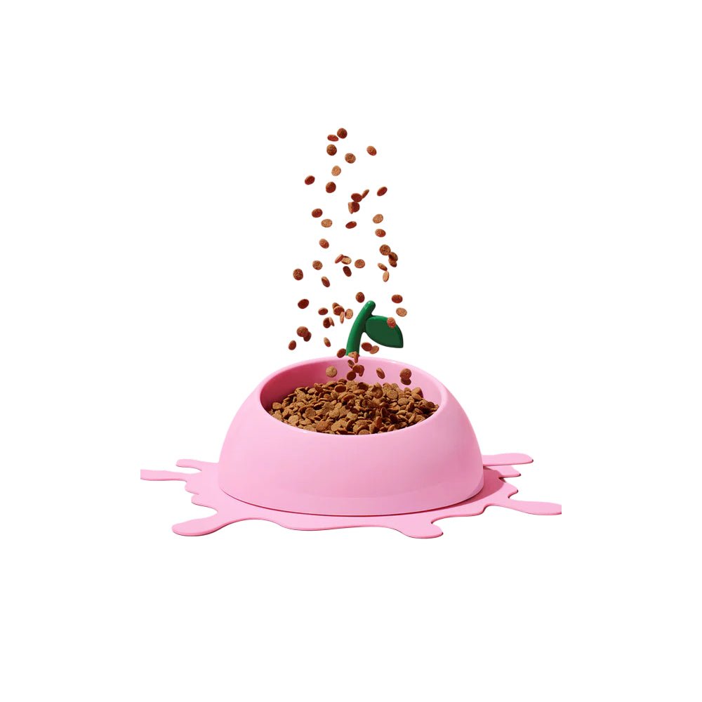 Juicy Peach Pet Bowl , Spoon & Mat Set - Image 3