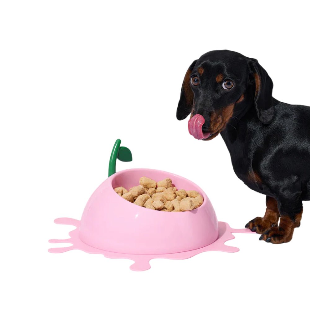 Juicy Peach Pet Bowl , Spoon & Mat Set - Image 6