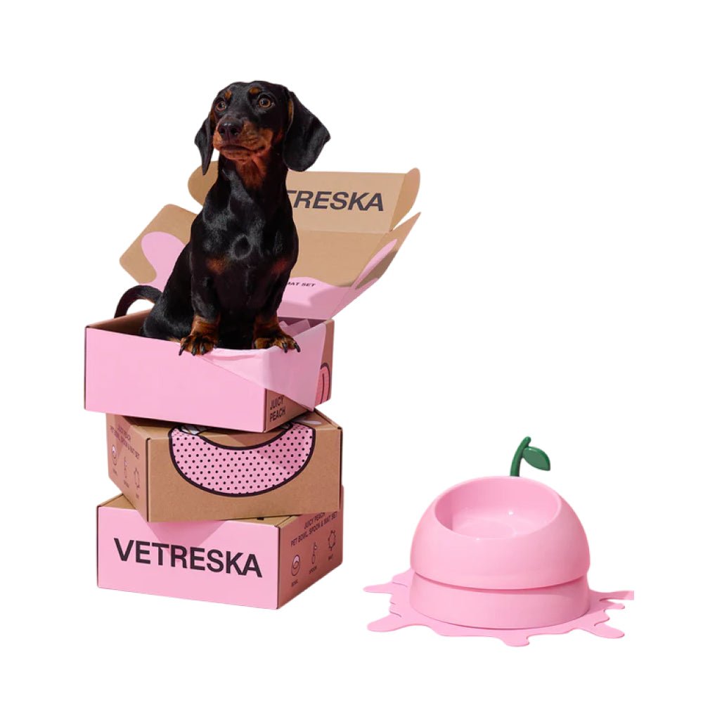 Juicy Peach Pet Bowl , Spoon & Mat Set - Image 8
