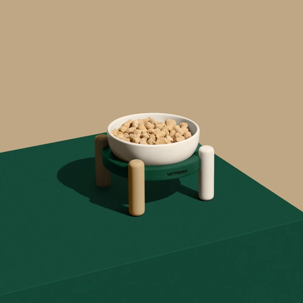 Santal Forest Ceramic Pet Bowl Set - Image 5