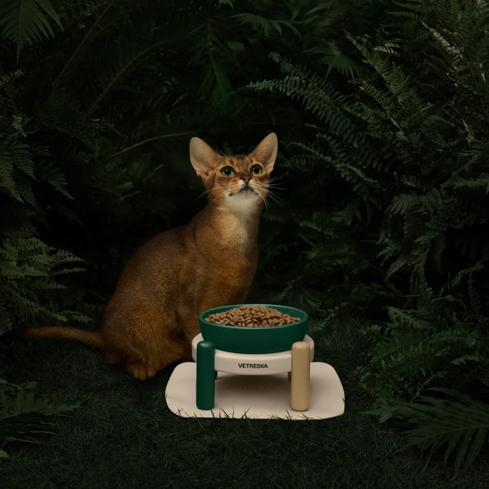 Santal Forest Ceramic Pet Bowl & Mat Set - Image 13