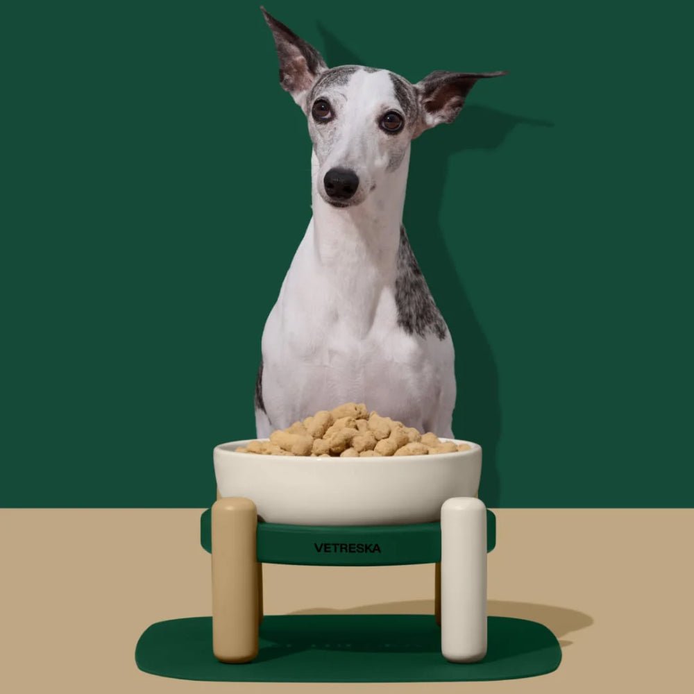 Santal Forest Ceramic Pet Bowl & Mat Set - Image 14