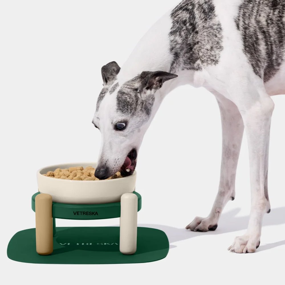 Santal Forest Ceramic Pet Bowl & Mat Set - Image 12