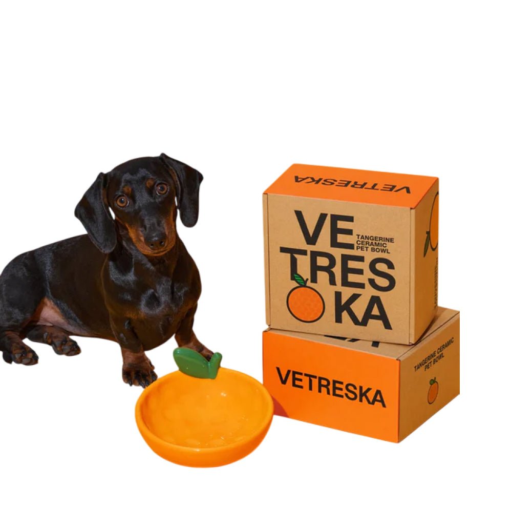 Tangerine Ceramic Pet Bowl - Image 5