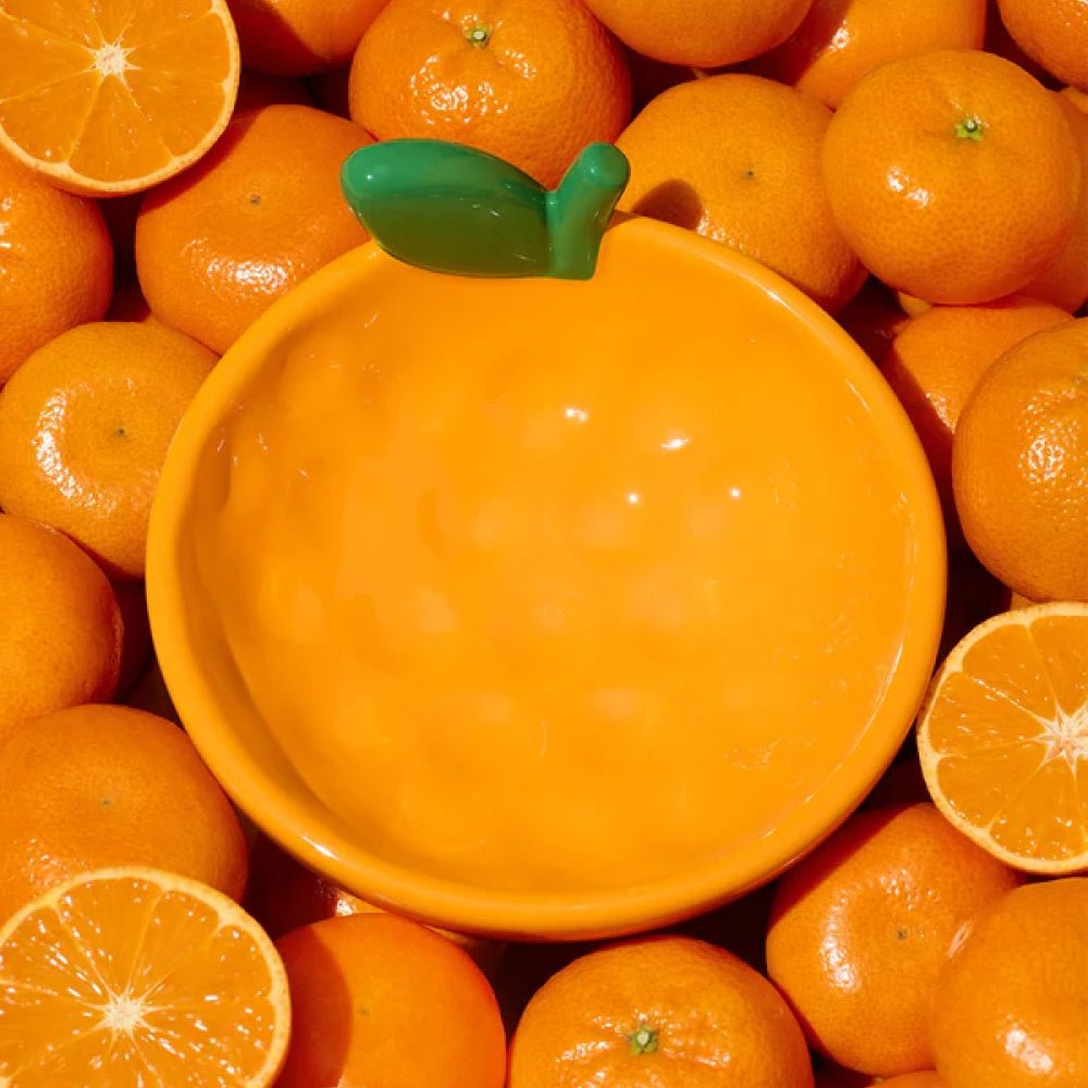 Tangerine Ceramic Pet Bowl - Image 7