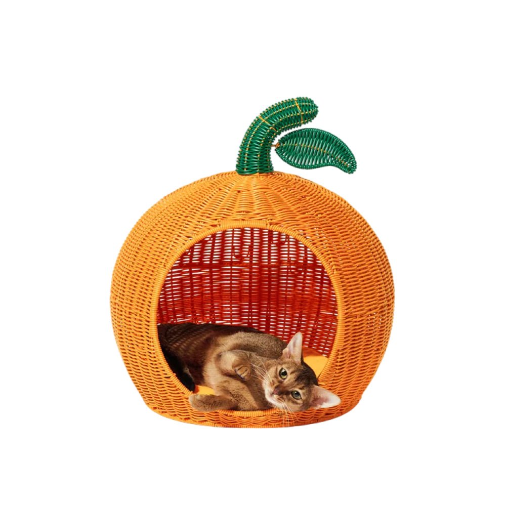 Tangerine Rattan Pet Bed - Image 3