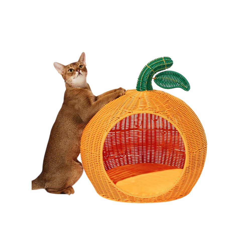 Tangerine Rattan Pet Bed - Image 6
